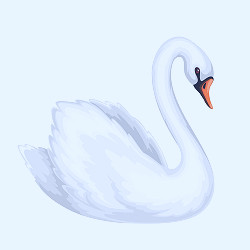 Premium Vector | White swan